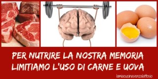 memoria nutrire