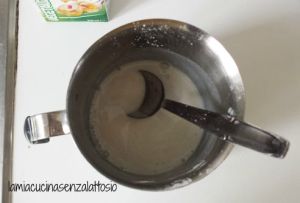 stracchino senza lattosio