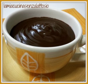 cioccolata calda fatta in casa