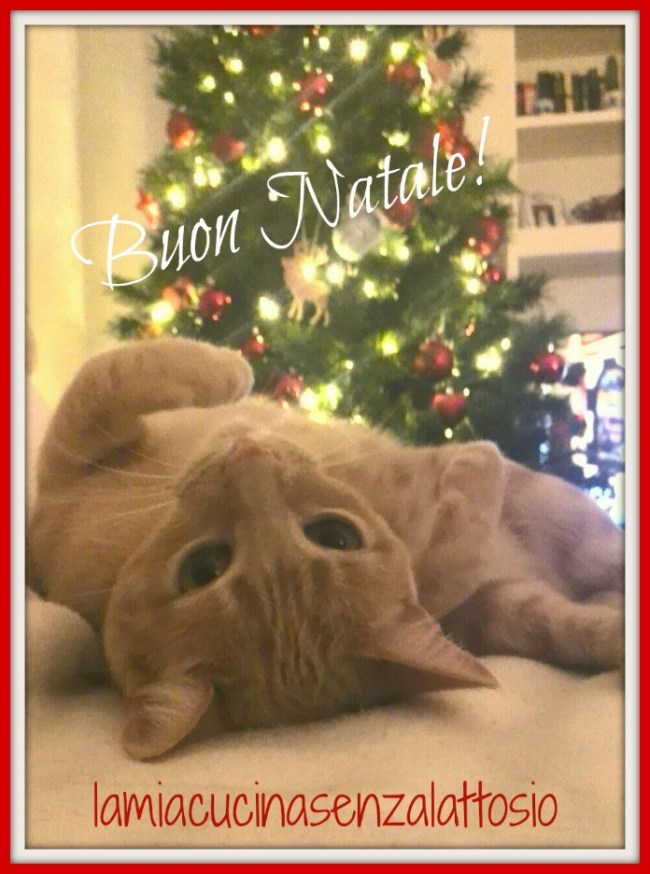 Buon Natale micia