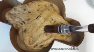 colomba senza lattosio senza uova