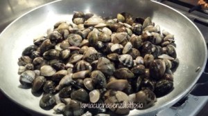 vongole