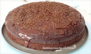 torta cioccolato vegana