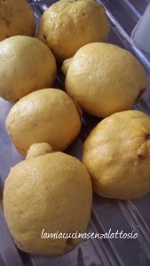 limoncello1