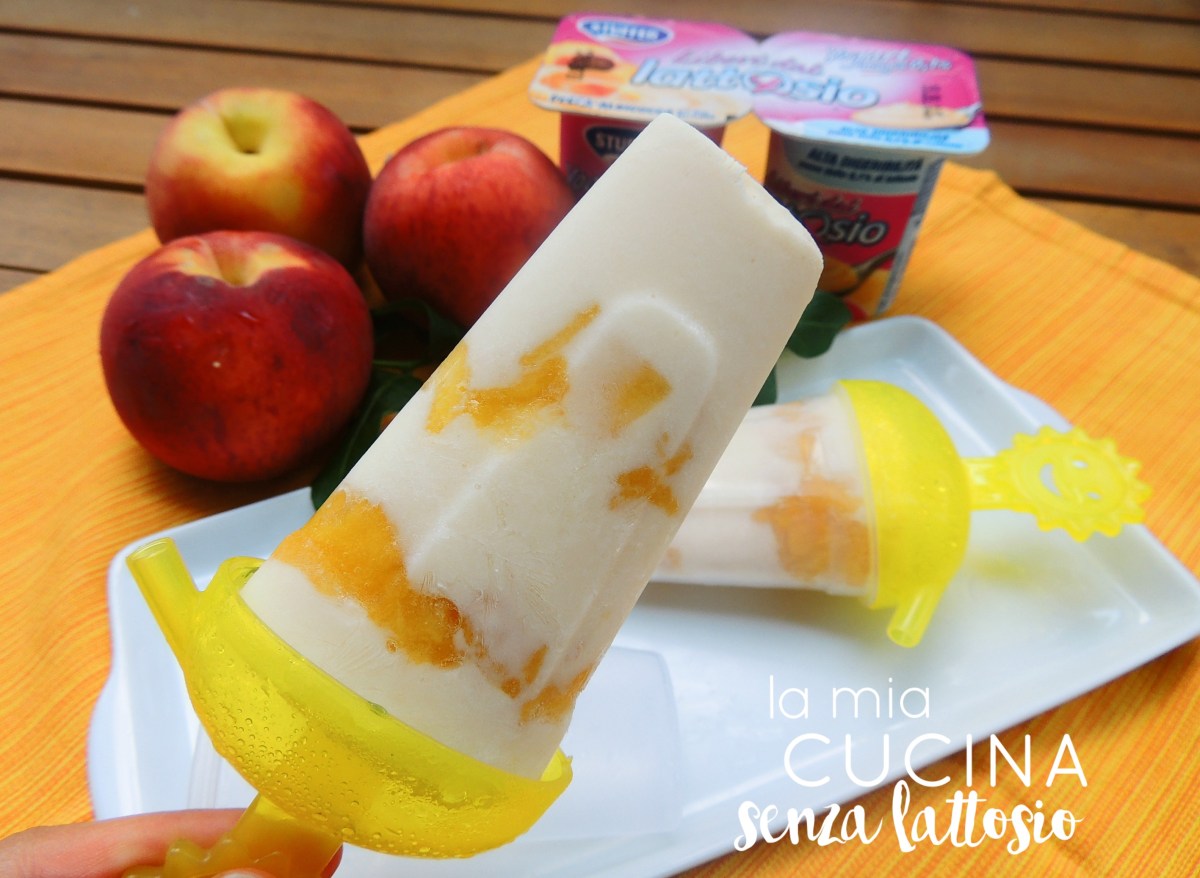 ghiaccioli senza lattosio fatti in casa